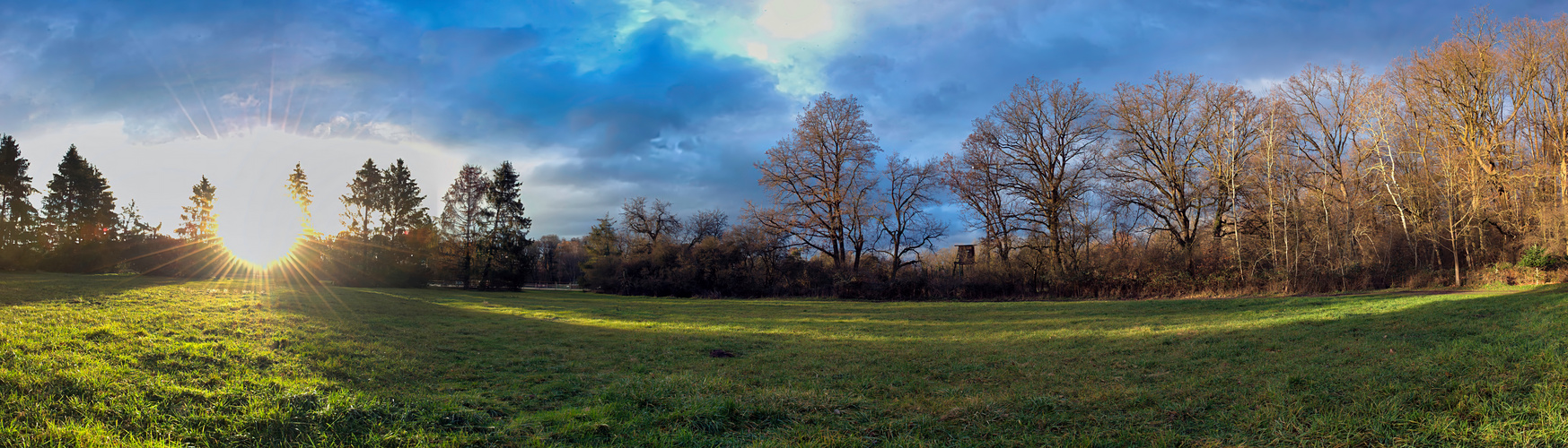 Sonnenuntergang am Waldesrand