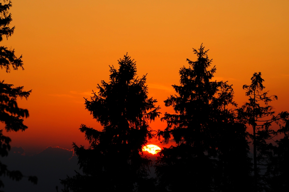 Sonnenuntergang am Waldesrand