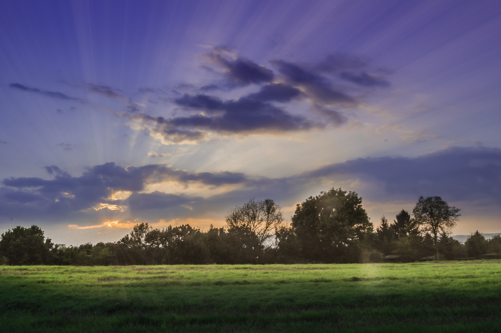 Sonnenuntergang am Waldrand