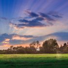 Sonnenuntergang am Waldrand