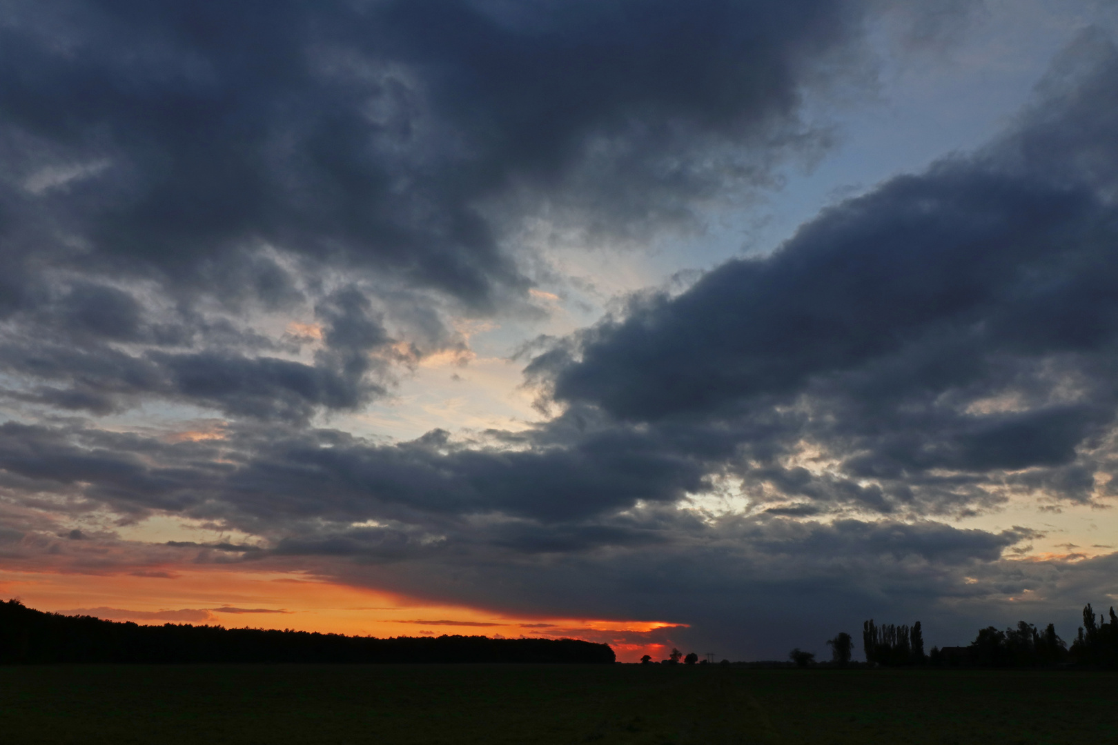 Sonnenuntergang am Waldrand