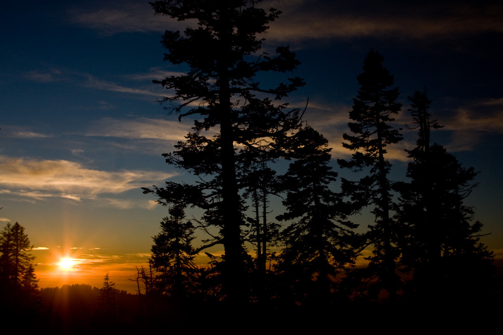 Sonnenuntergang am Waldrand