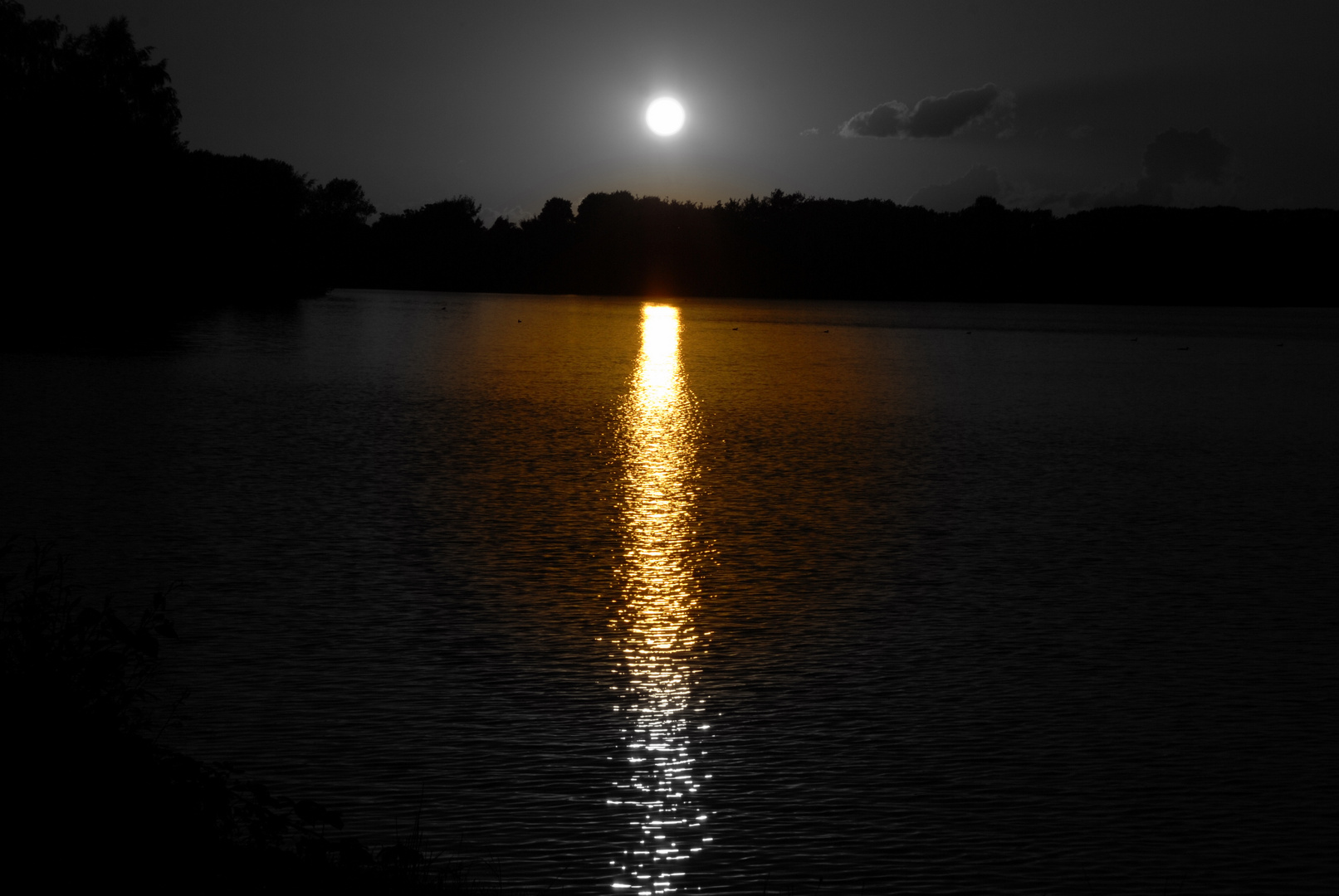 Sonnenuntergang am Waldsee