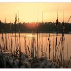 Sonnenuntergang am Waldweiher.