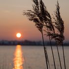 Sonnenuntergang am Wallersee