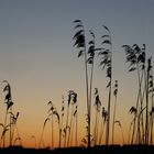 Sonnenuntergang am Wallersee / Salzburg 1