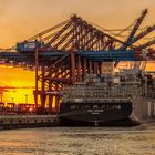 Sonnenuntergang am Waltershofer Hafen - Hamburg