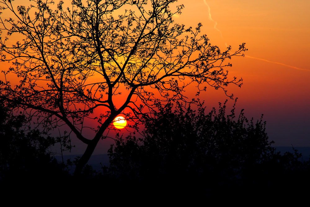 Sonnenuntergang am Waschberg