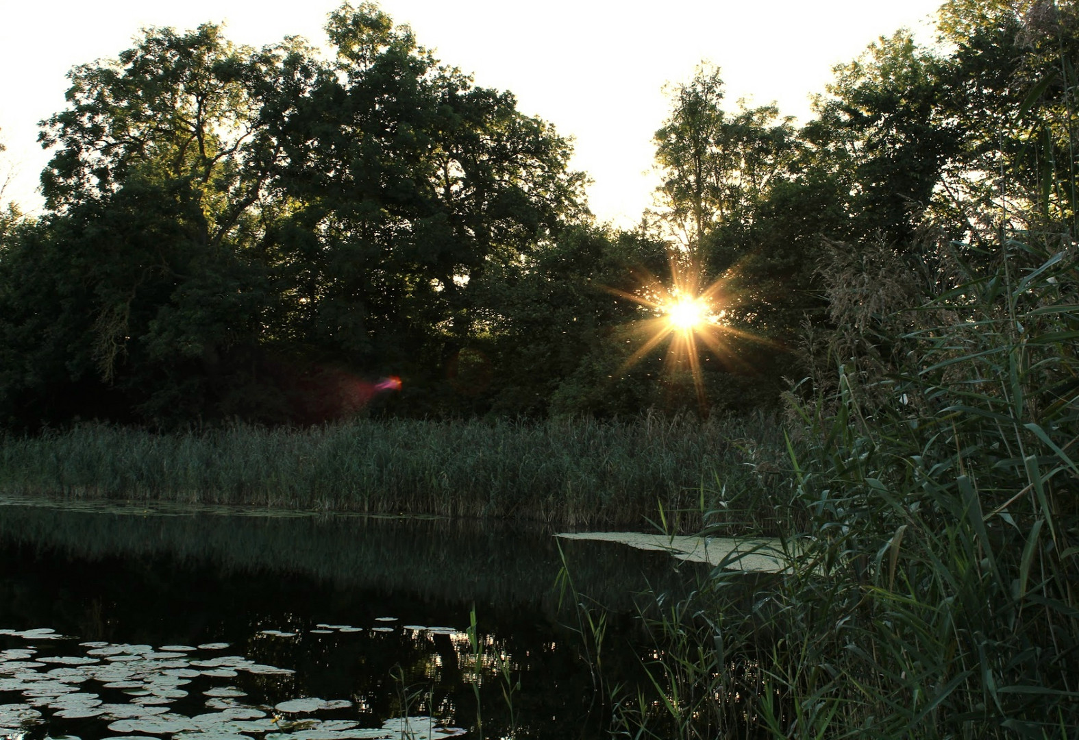 Sonnenuntergang am Wasser