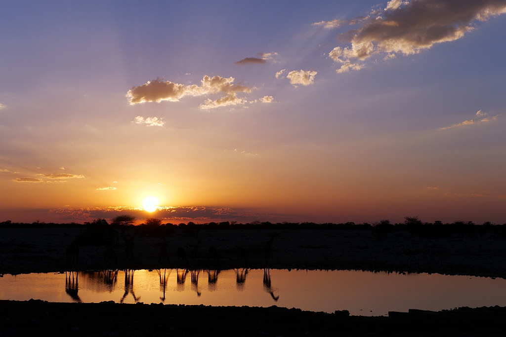 Sonnenuntergang am Wasserloch