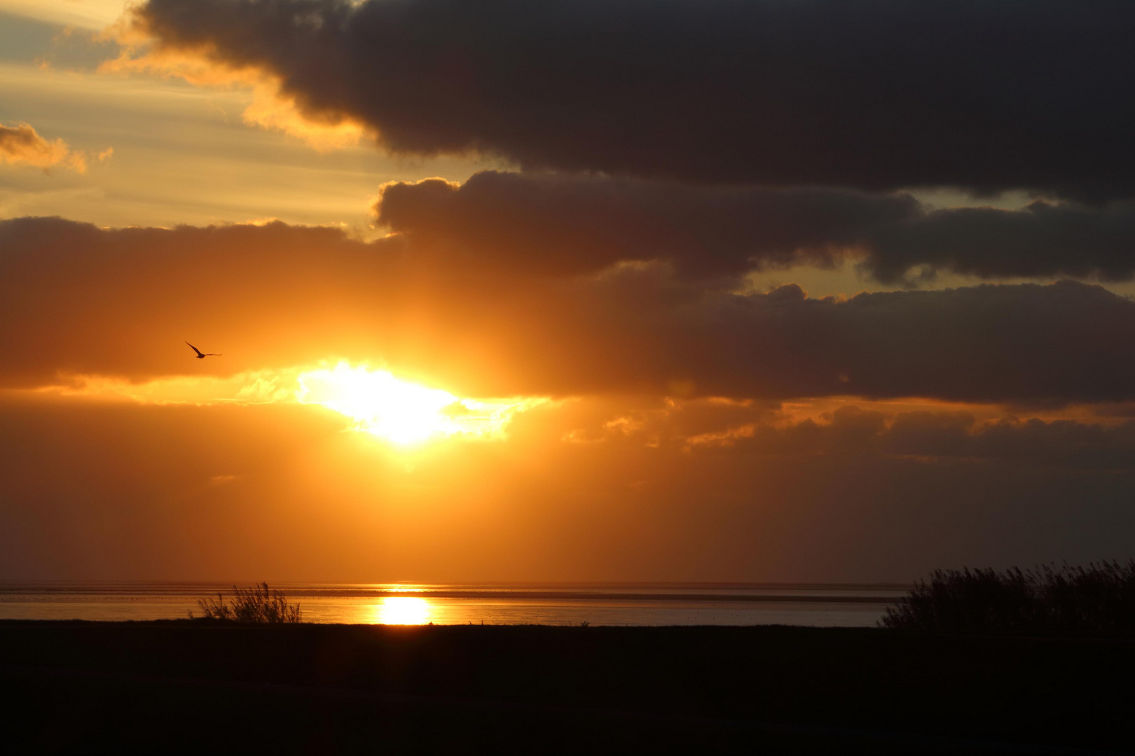 Sonnenuntergang am Wattenmeer!