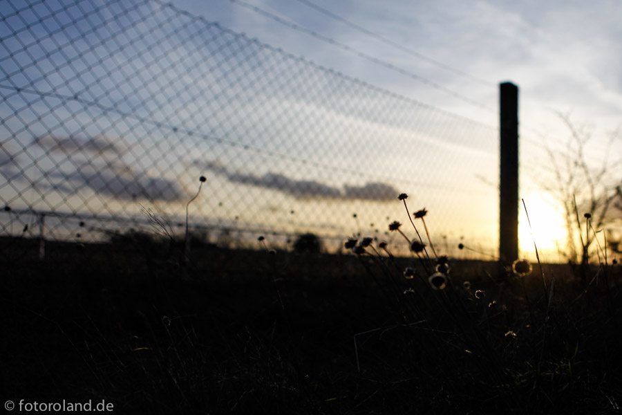 Sonnenuntergang am Wegesrand