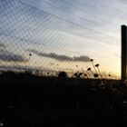 Sonnenuntergang am Wegesrand