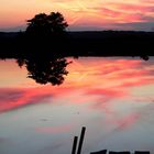 Sonnenuntergang am Weiher 2