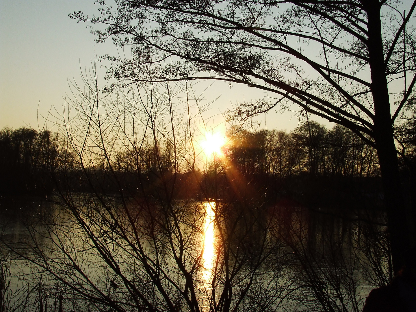 Sonnenuntergang am Weiher