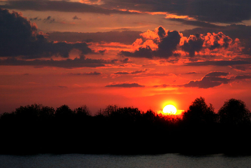 Sonnenuntergang am Weiher