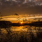 Sonnenuntergang am Weiher