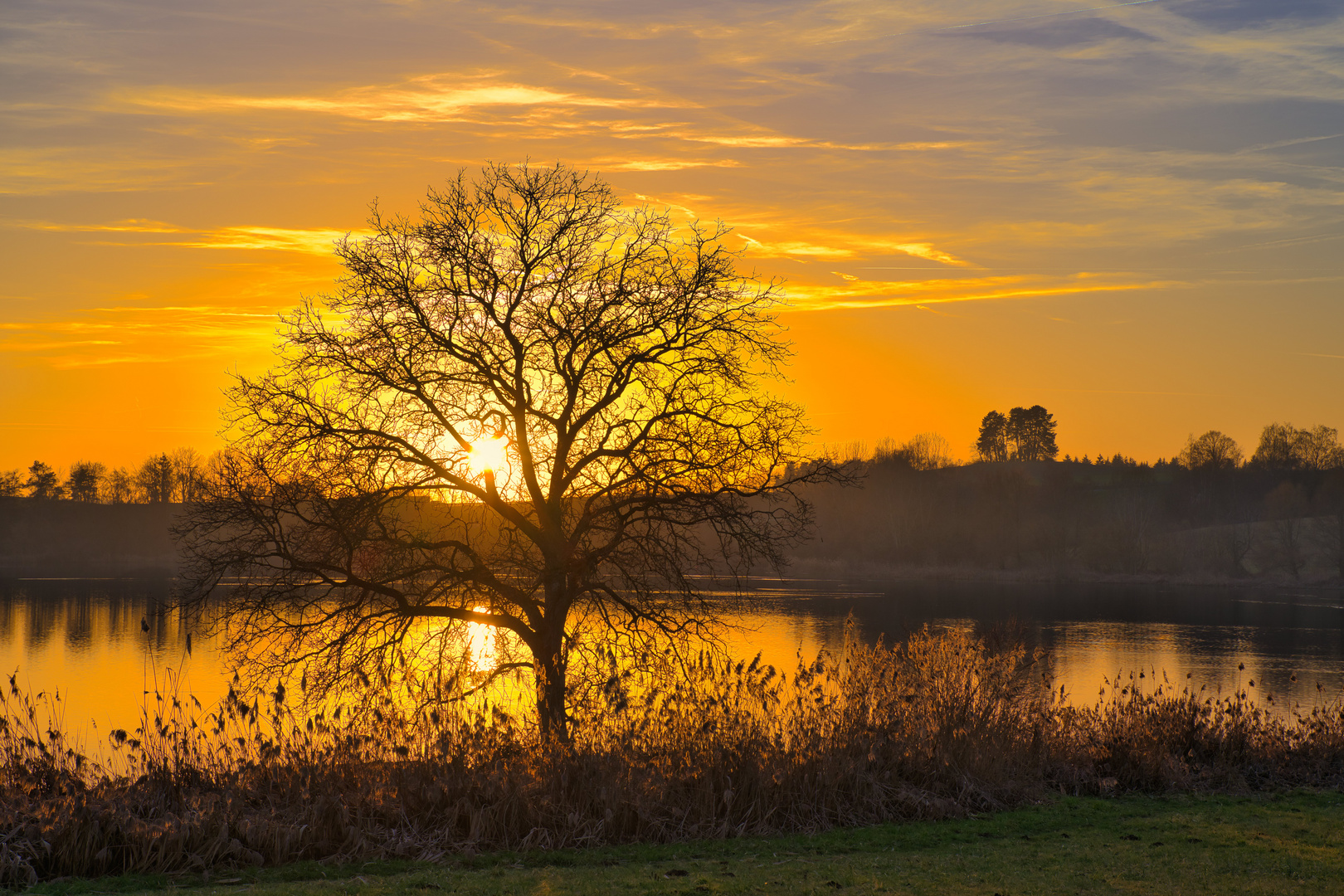 Sonnenuntergang am Weiher