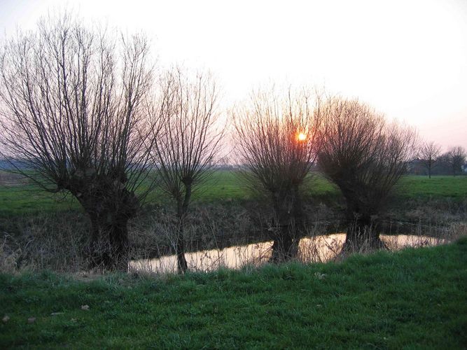 Sonnenuntergang am Weiher