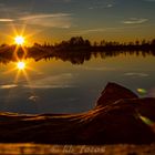 Sonnenuntergang am Weiher