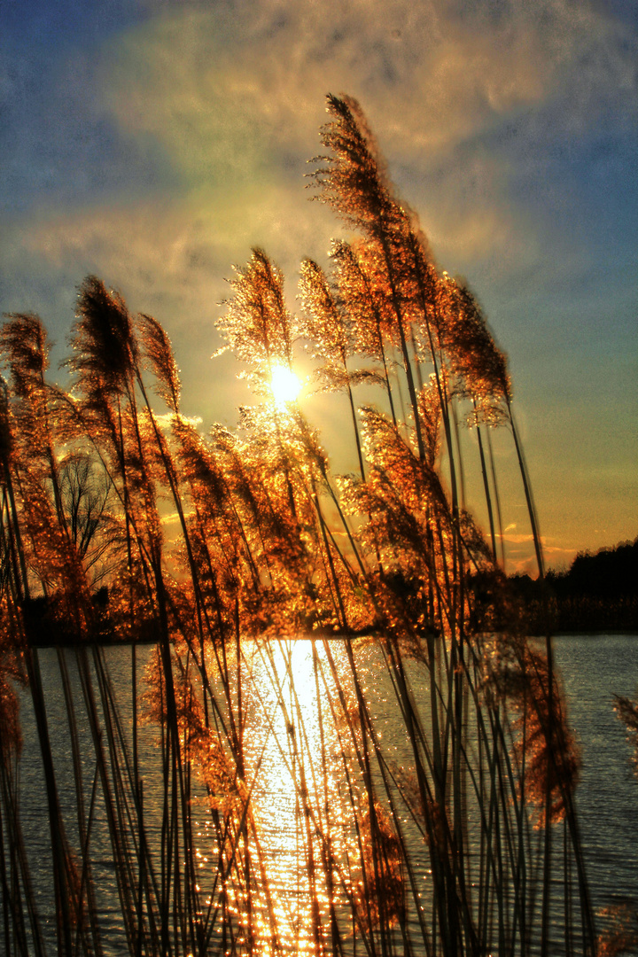 Sonnenuntergang am Weiher