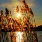 Sonnenuntergang am Weiher