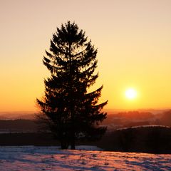 Sonnenuntergang am Weinfelder Maar (Totenmaar)