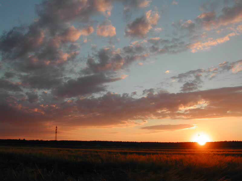 Sonnenuntergang am Weizenfeld