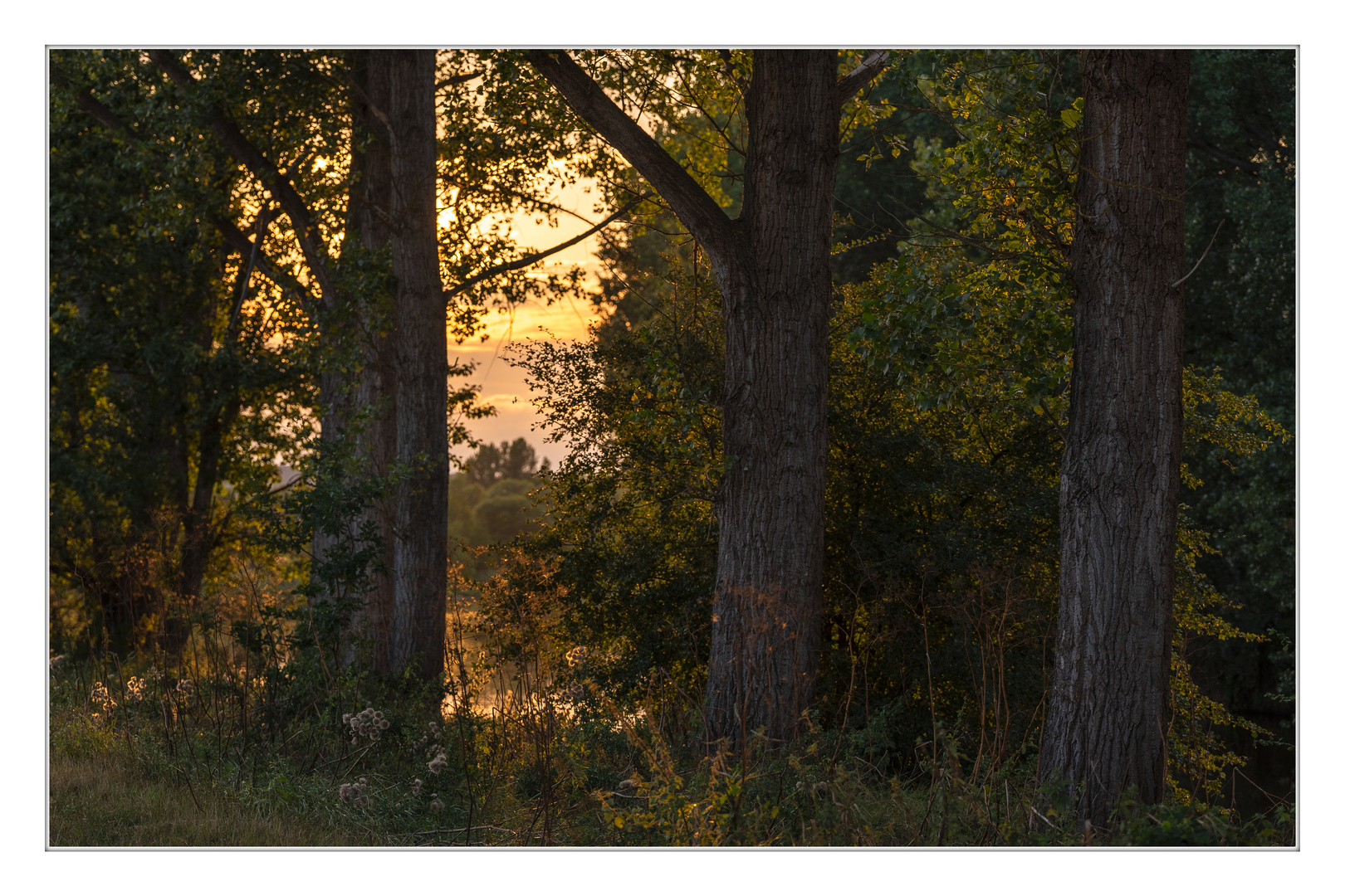 Sonnenuntergang am Werraufer bei Treffurt