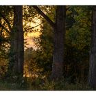 Sonnenuntergang am Werraufer bei Treffurt