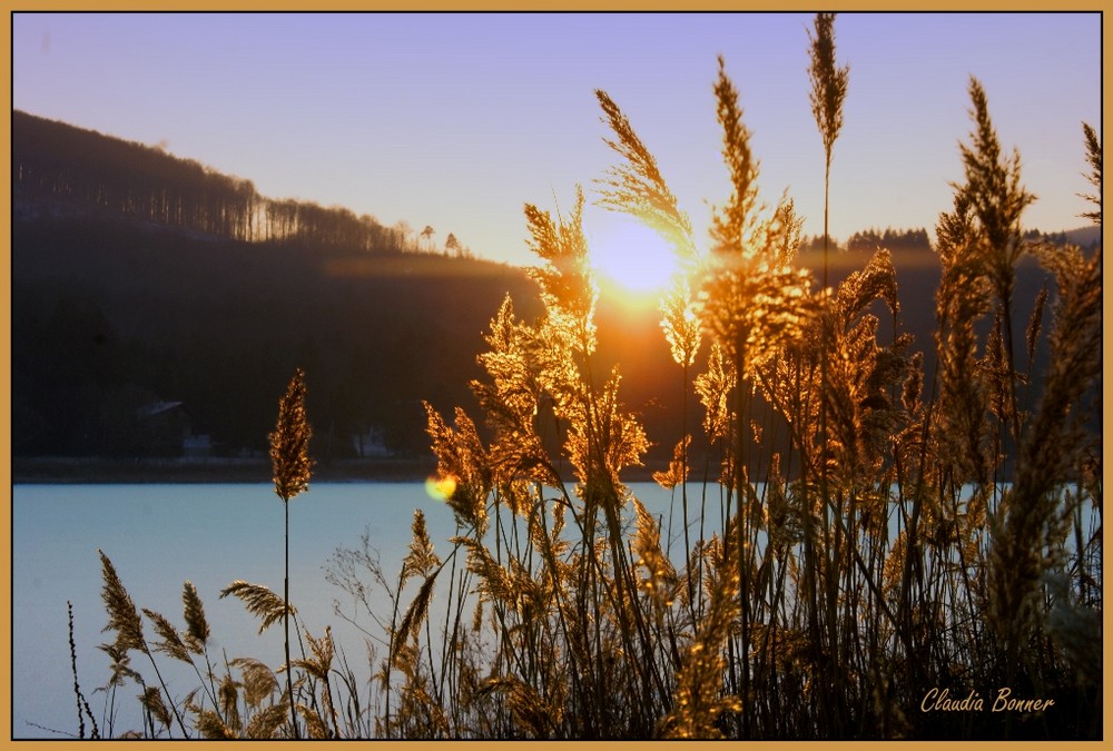 Sonnenuntergang am Wienerwaldsee