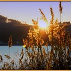 Sonnenuntergang am Wienerwaldsee