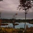 Sonnenuntergang am Wildseemoor bei Kaltenbronn im Schwarzwald