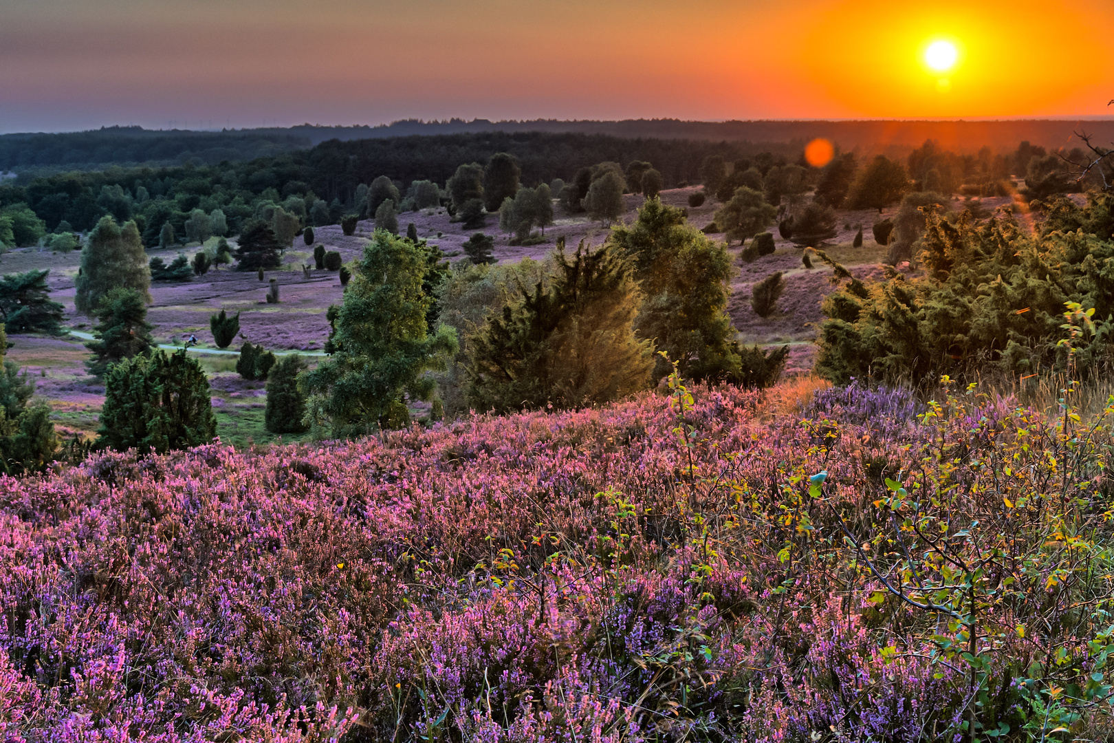 Sonnenuntergang am Wilseder Berg