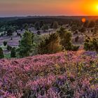 Sonnenuntergang am Wilseder Berg