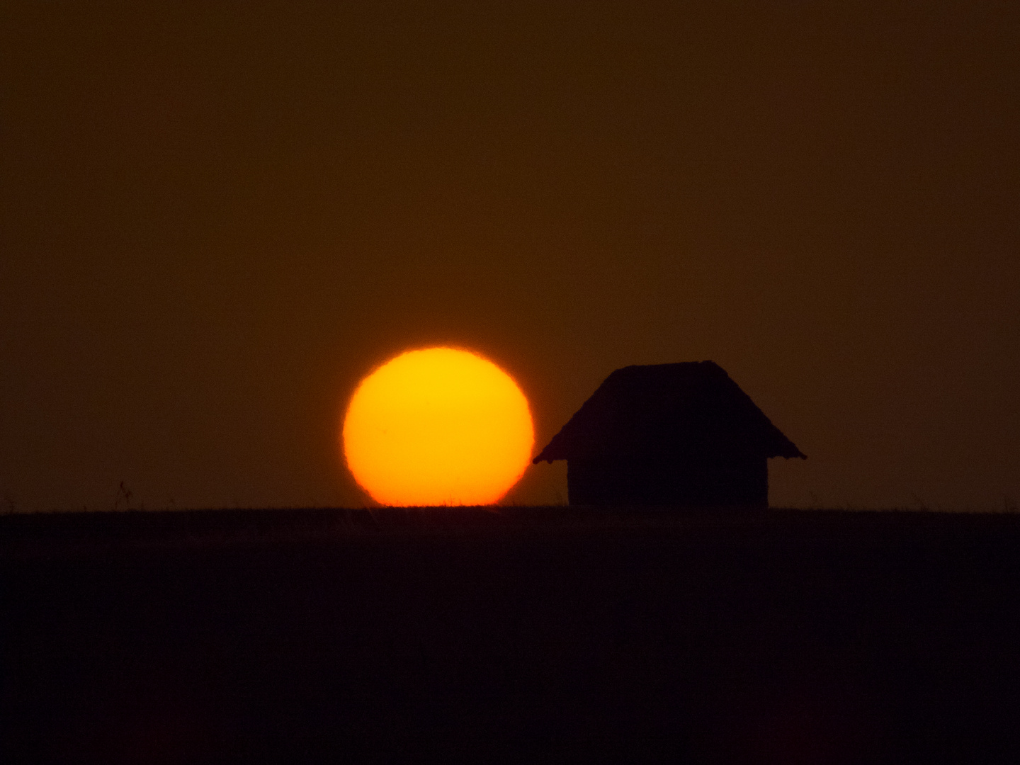 Sonnenuntergang am Windpark Waldsachsen