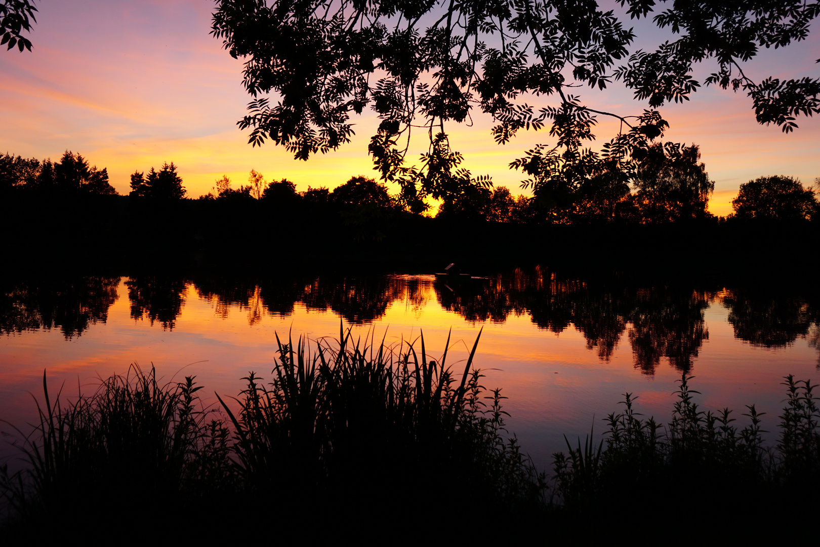 Sonnenuntergang am Wolfsteich