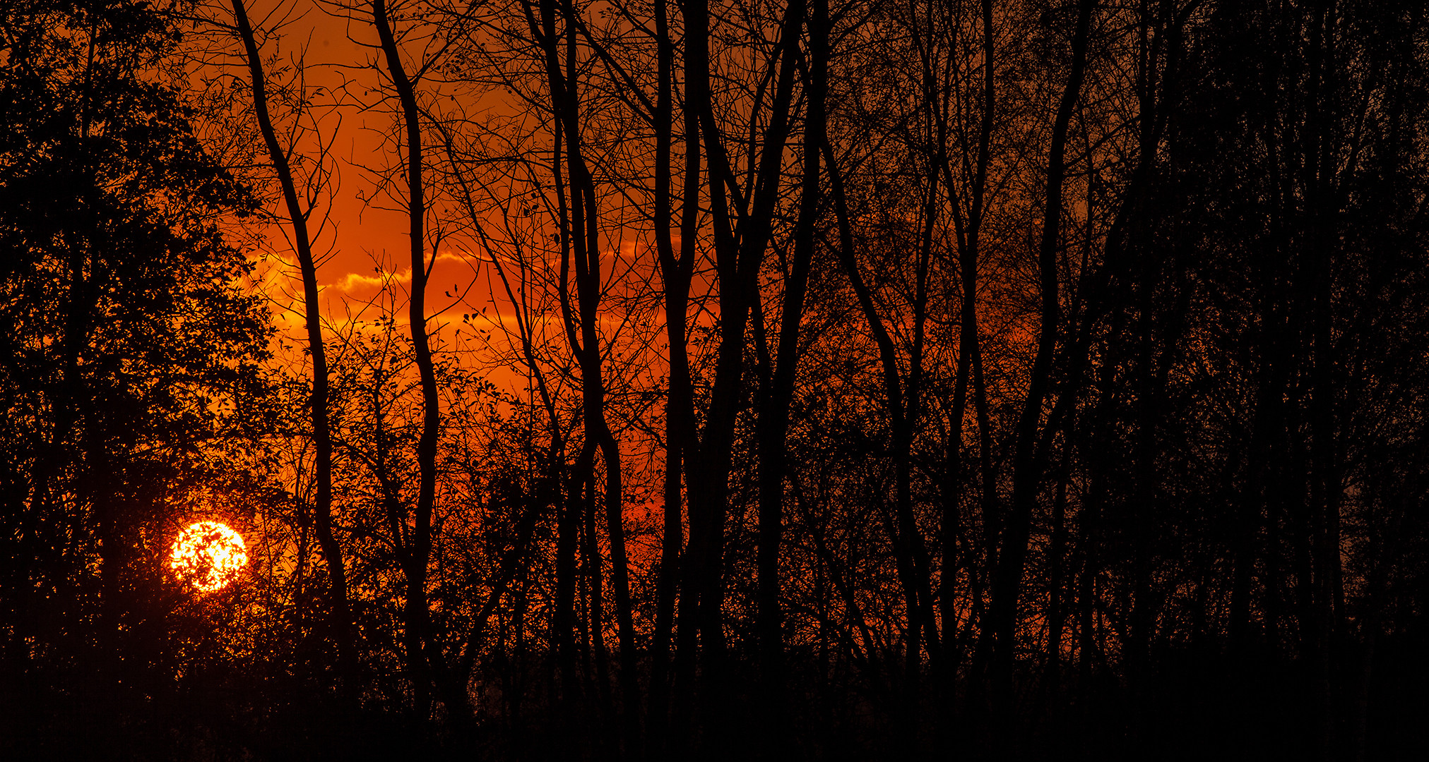 Sonnenuntergang am Zachariassee 001