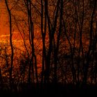 Sonnenuntergang am Zachariassee 001