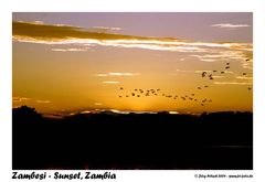 Sonnenuntergang am Zambesi, Zambia 3