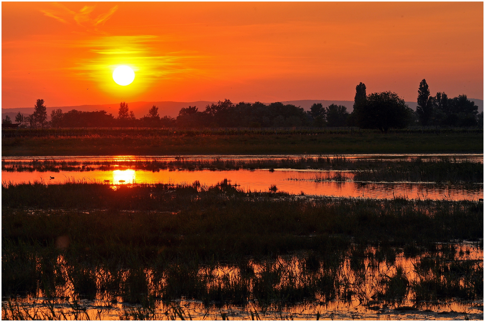 Sonnenuntergang am Zicksee ( Burgenland )