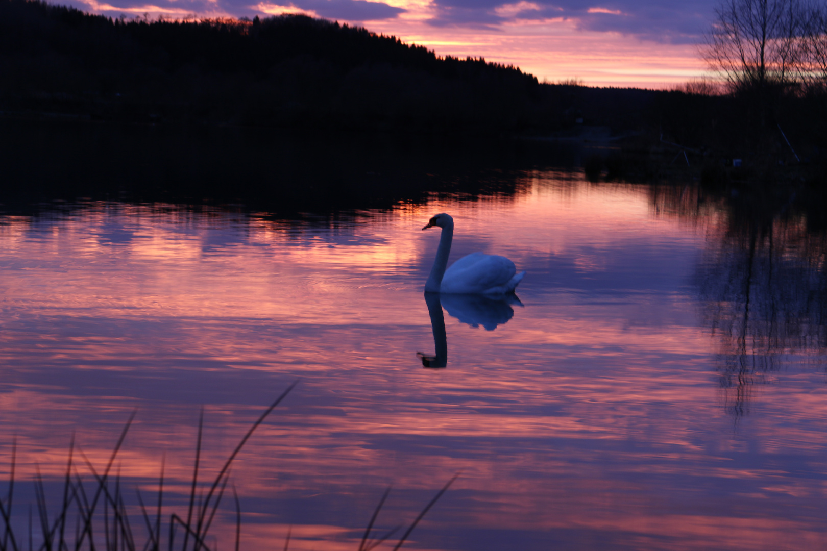 Sonnenuntergang am Zielfinger See