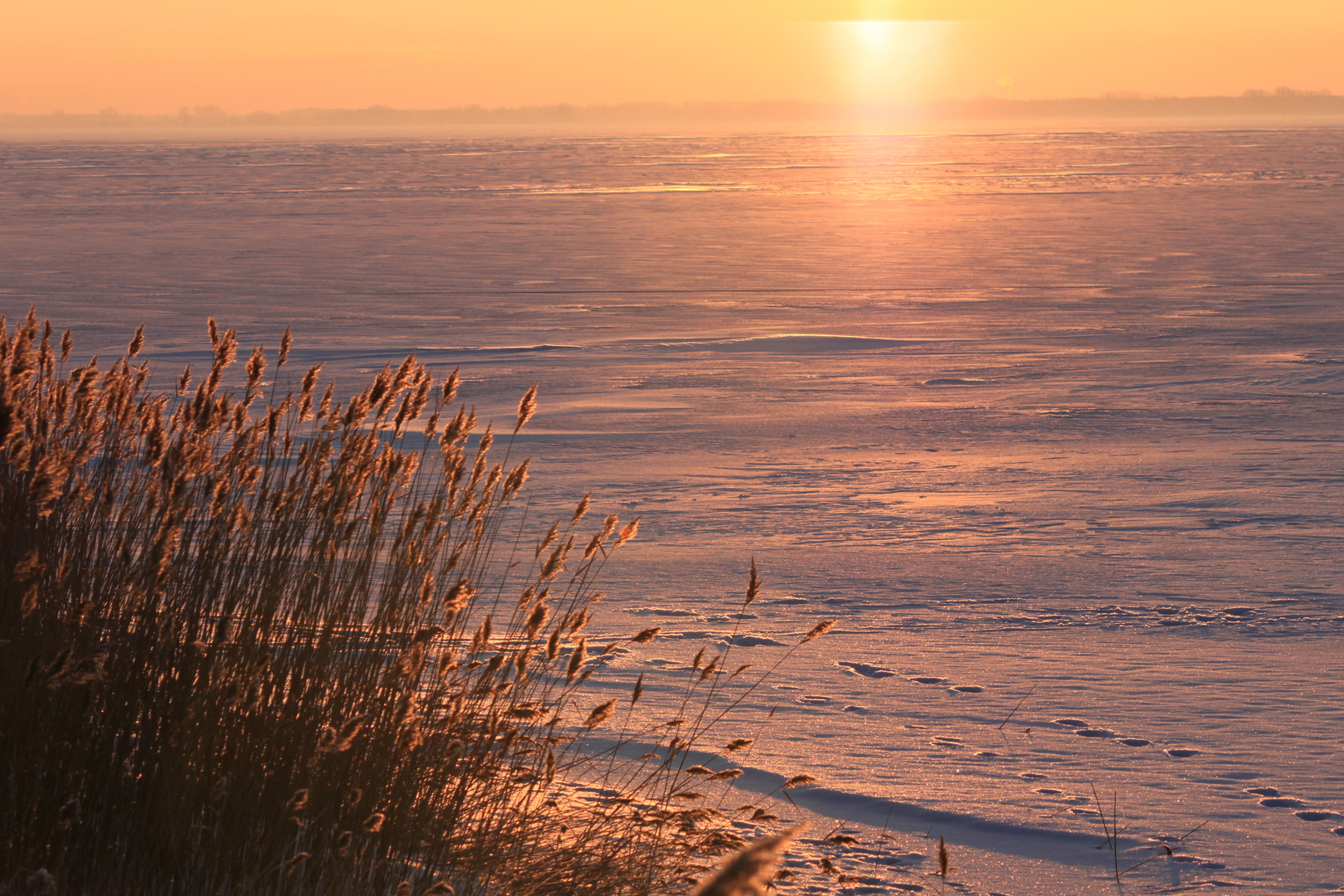 Sonnenuntergang am Zingster  Bodden