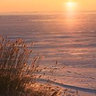 Sonnenuntergang am Zingster  Bodden