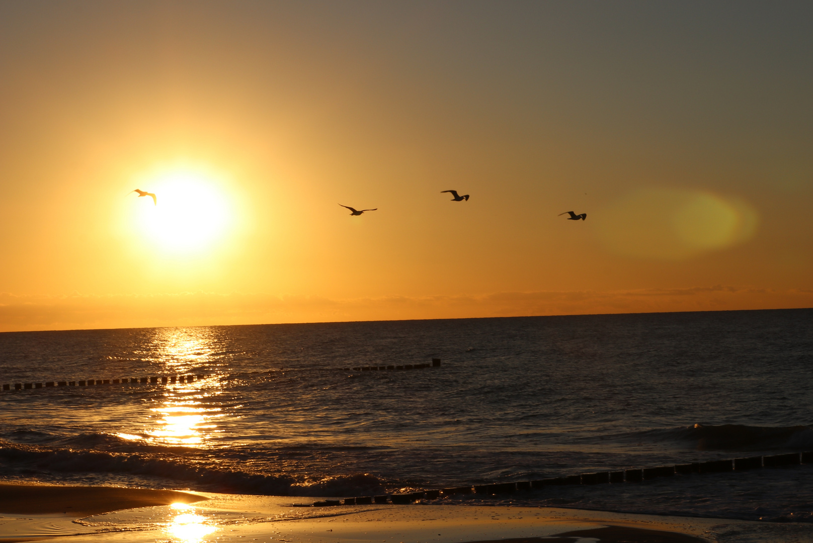 Sonnenuntergang am Zingsterstrand