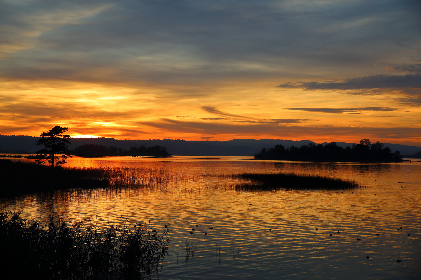 Sonnenuntergang am Zürichsee 1