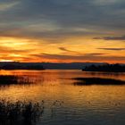 Sonnenuntergang am Zürichsee 1