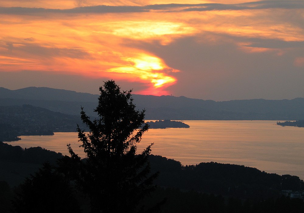 Sonnenuntergang am Zürichsee