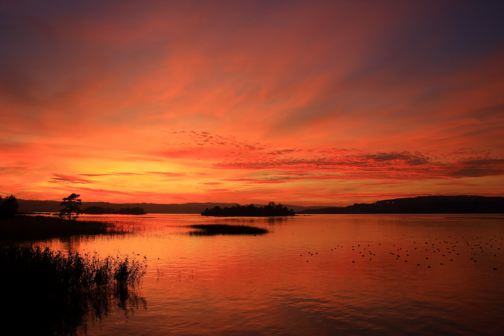 Sonnenuntergang am Zürichsee 2