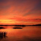 Sonnenuntergang am Zürichsee 2